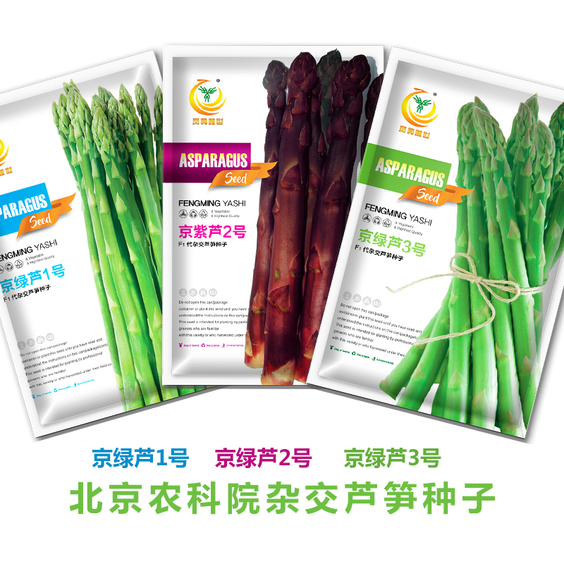 芦笋种子四季高产绿色紫色多年生种植阳台春季夏季种籽苗蔬菜种孑