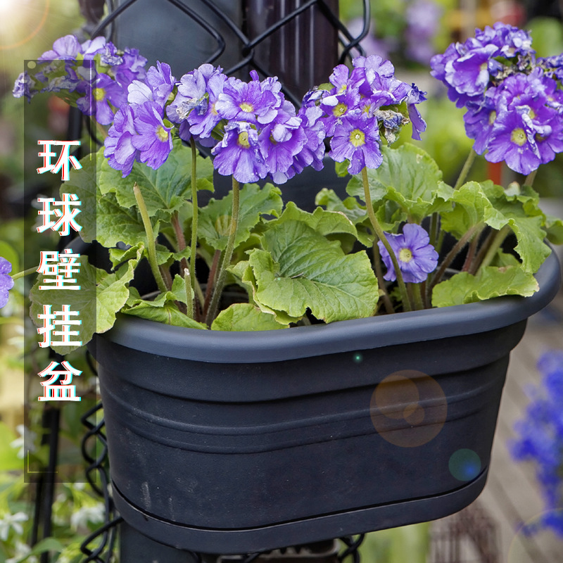 环球花盆霍仑系列挂壁花盆阳台栅栏吊兰多肉树脂加厚塑料挂盆