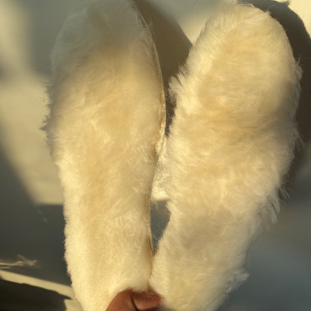 白色羊毛鞋垫一双（暖和）