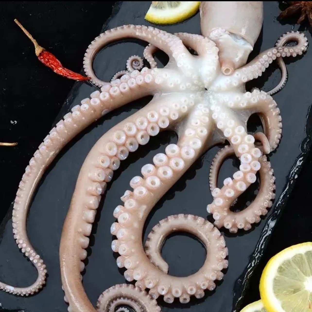 连云港发货  长腿八爪鱼（章鱼）  新鲜速冻  2斤/3斤/4斤/5斤