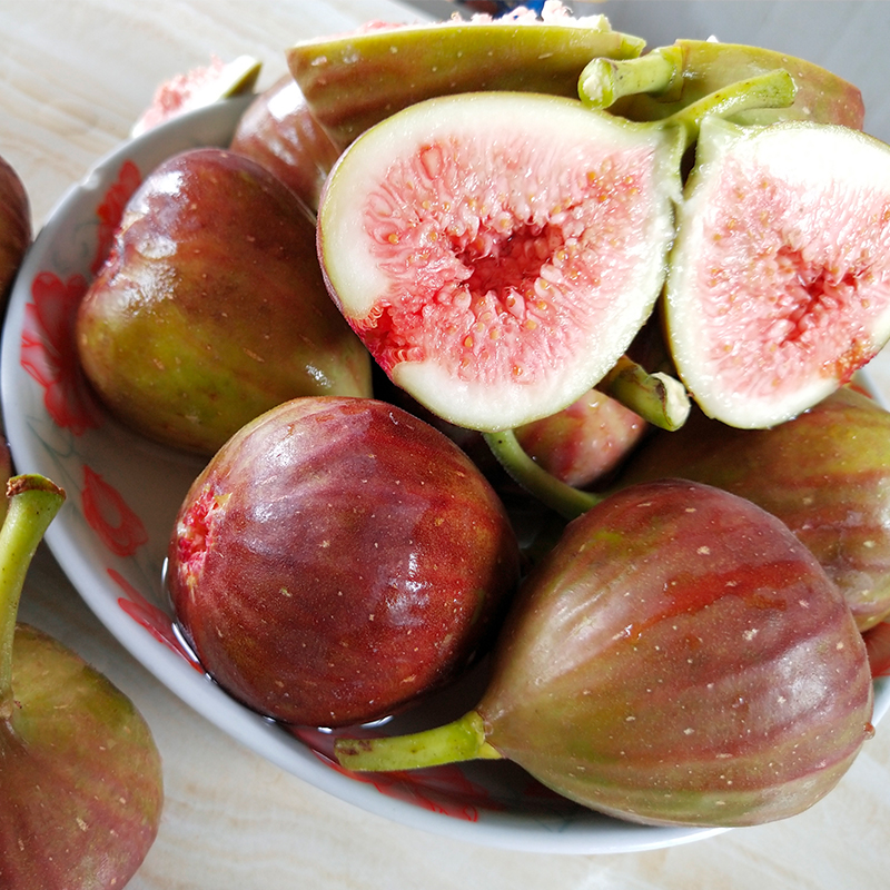 云南元谋无花果新鲜应季红皮特产水果现摘现3斤5斤包邮