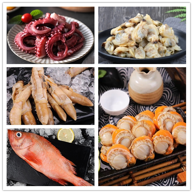 连云港5样海鲜搭配 共8包 约6斤/份品种多样营养丰富美味水产