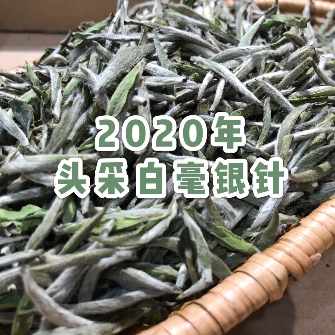 福鼎白茶 白毫银针（散茶）100克