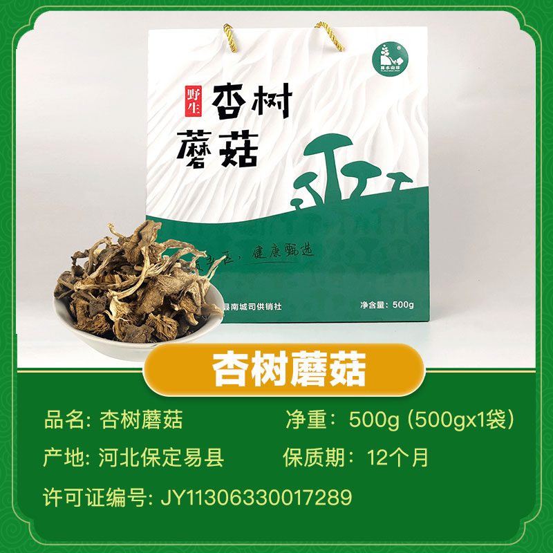 优质杏树蘑菇  深山特产  干蘑菇 手工臻选