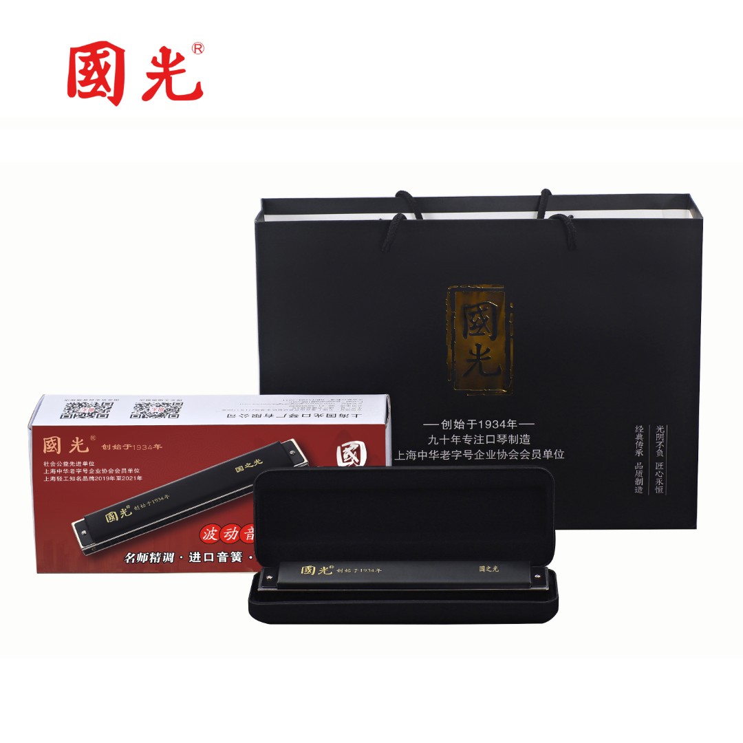 国光24孔国之光复音十二调波动音口琴含教材伴奏