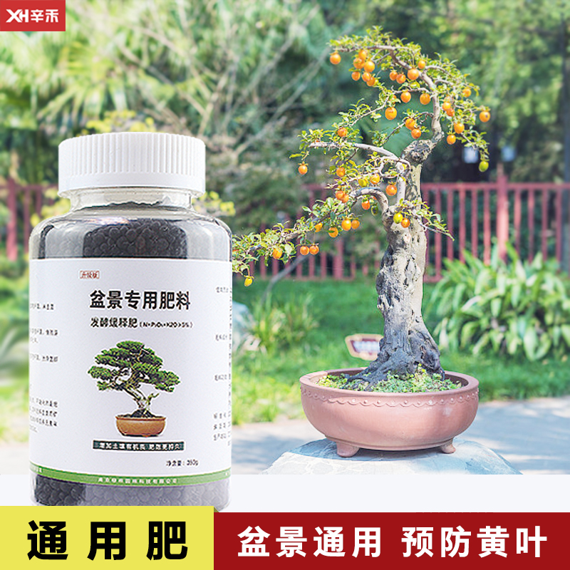 盆景专用肥料缓释肥黑松真柏榆树金弹子盆栽多肉花卉通用有机肥