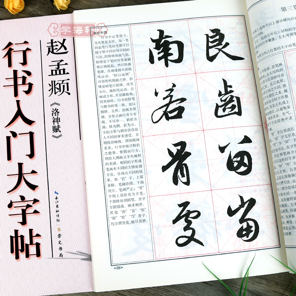 赵孟頫洛神赋行书入门大入门教程罗培源编赵体赵孟頫书法毛笔字帖