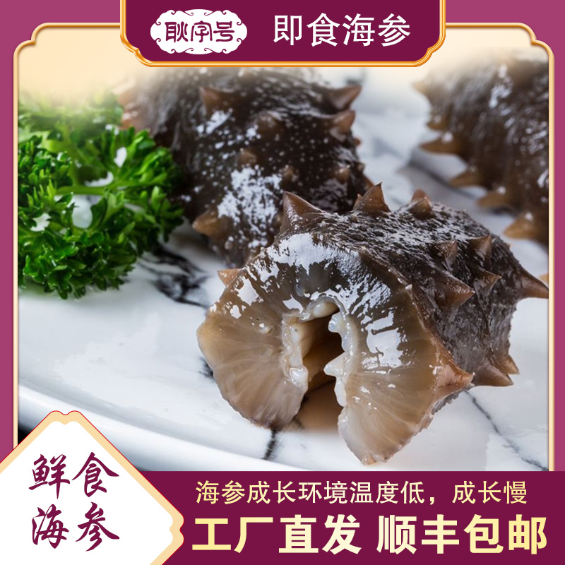 【耿字号】大连即食海参1斤 5斤 肉厚筋道 深海滋补自然海域
