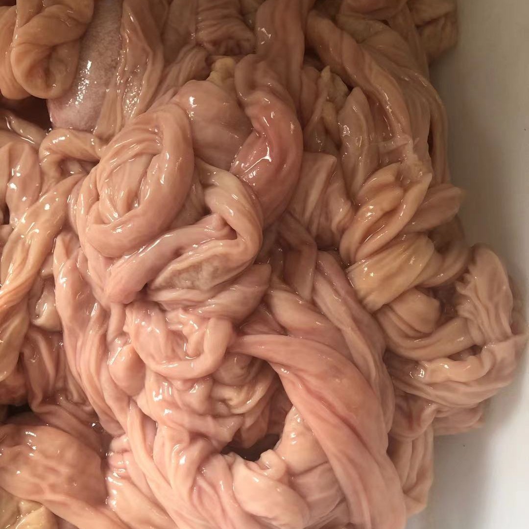 猪小肠  5斤  包邮