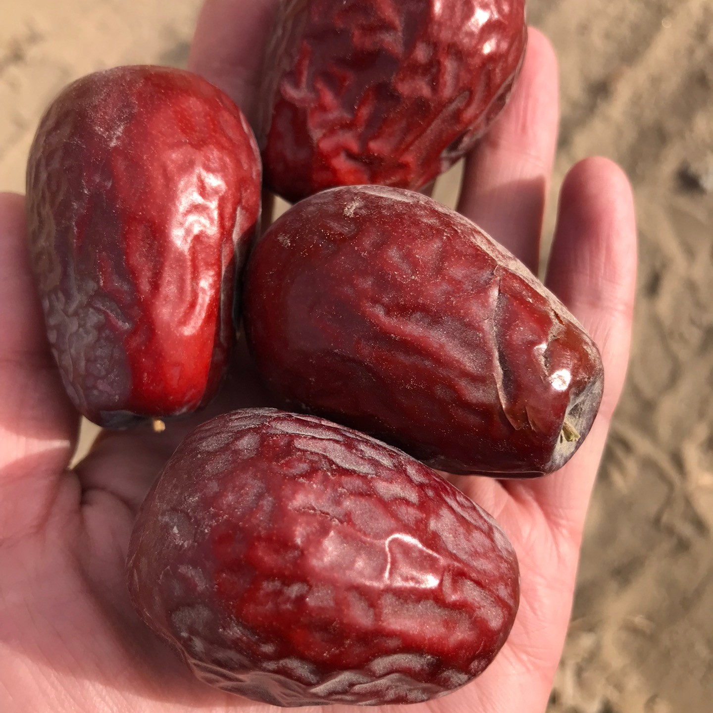 新货和田大枣特等4.5-5厘米（带土偏干）