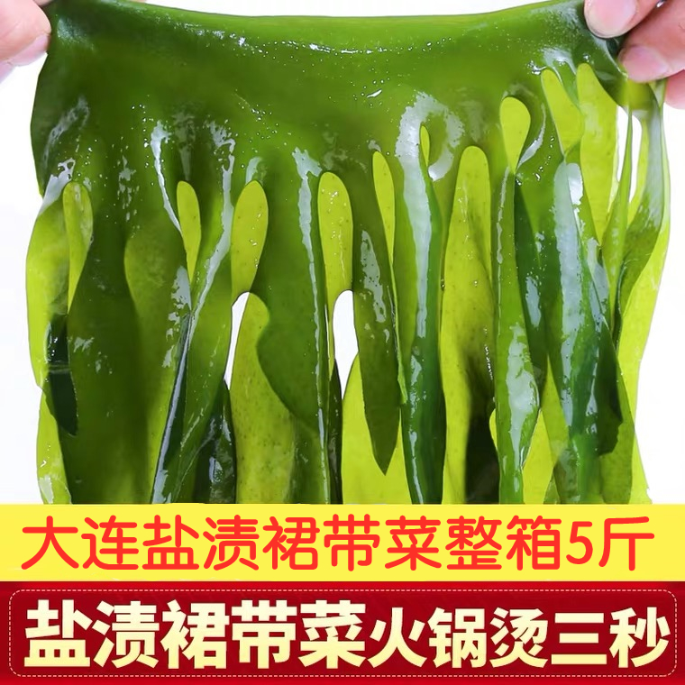 大连新鲜盐渍海菜火锅麻辣烫凉拌菜煲汤5斤/含箱