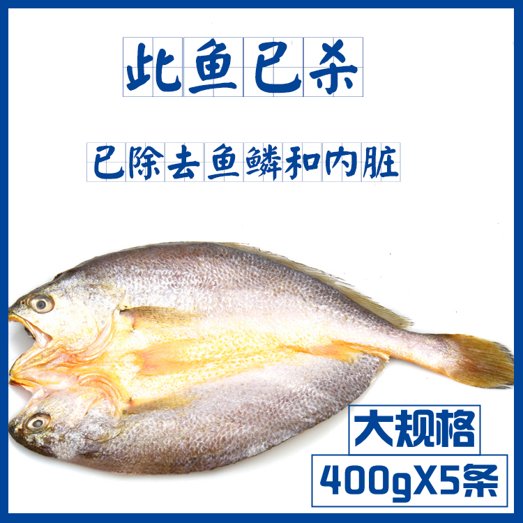【400gX5条】宁德霞浦黄鱼鲞 新鲜冷冻大黄鱼免杀免洗平均每条400g 