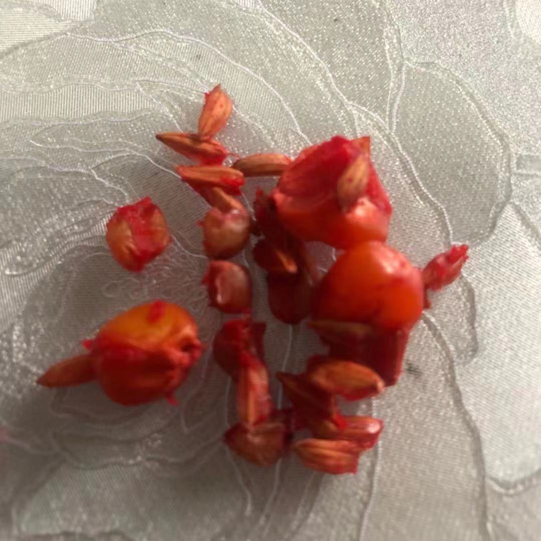 渔欢混合谷麦秋冬版国庆活动