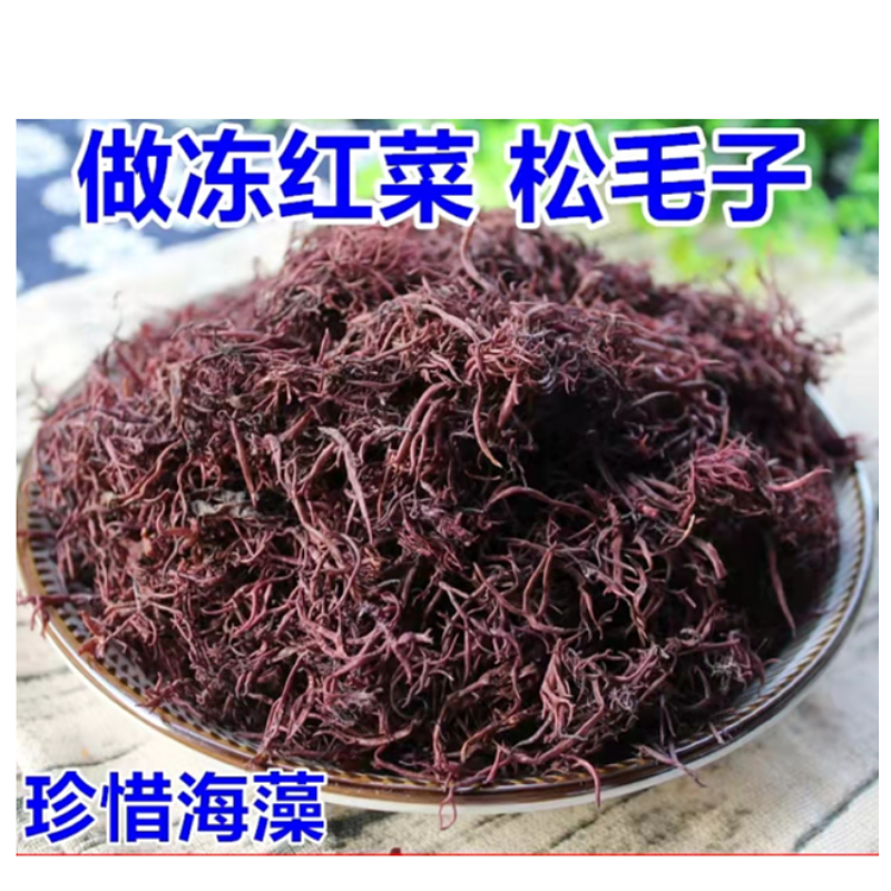 福建 红菜 鹿角菜  松毛子   100g/500g