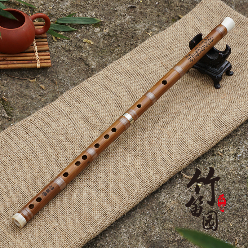 竹笛园云蝉款苦竹专业演奏笛子双节接铜花牛角艺考舞台演奏大学生