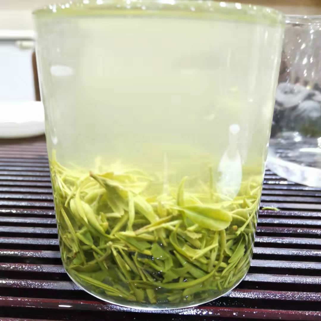 开园头采春昇韵信阳毛尖2025新茶 高山手工野茶绿茶老旱茶花香