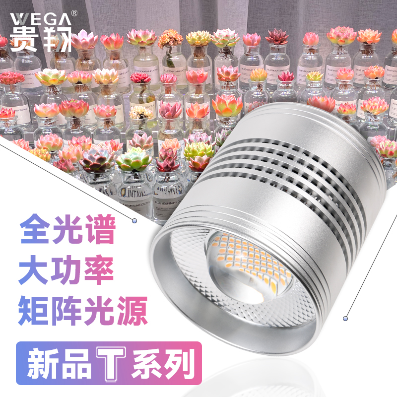 新品 贵翔多肉补光灯家用上色全光谱防徒LED仿太阳光植物生长灯