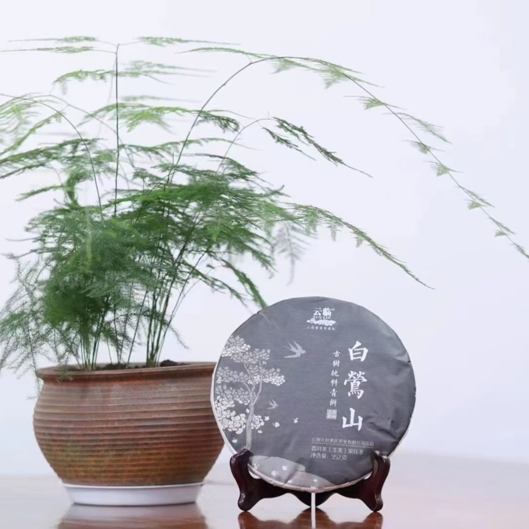临沧市十大名茶（2021）之白莺山古树纯料青饼