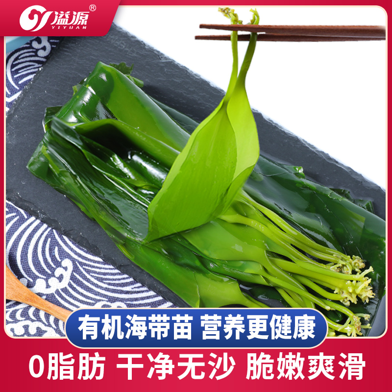 溢源有机海带苗新鲜盐渍海带嫩苗芽凉拌火锅清汤霞浦特产500g*2袋
