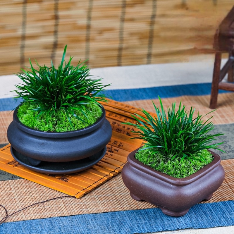 茶台小品 复古盆栽