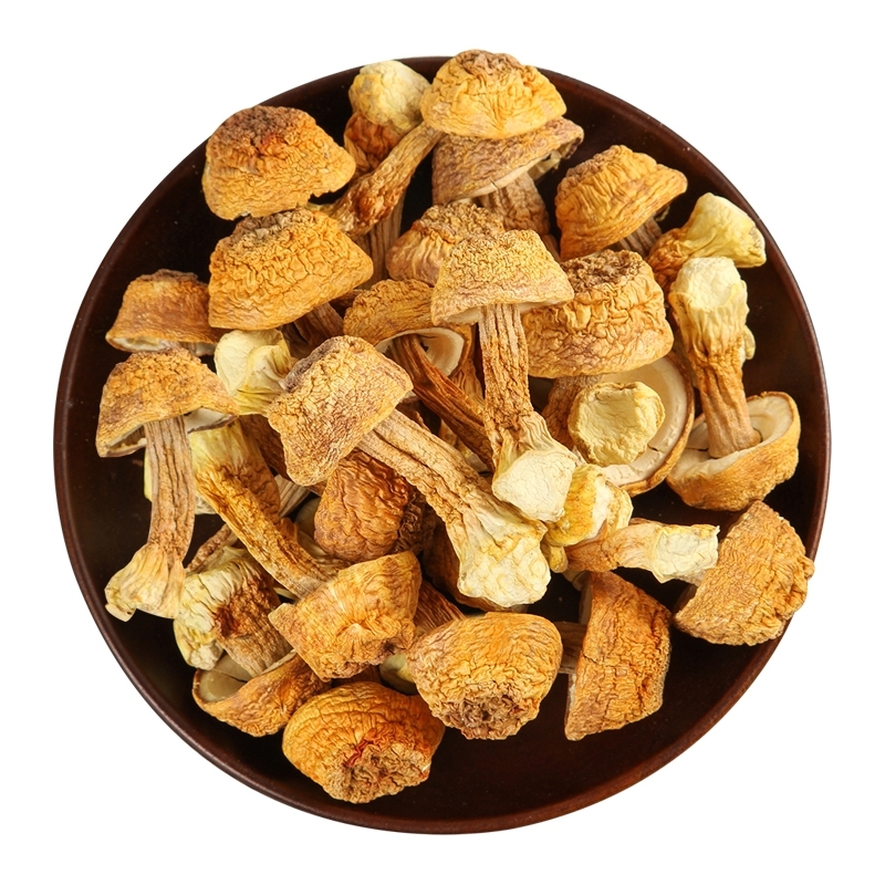 shennongli神农丽神农架松茸菌100g