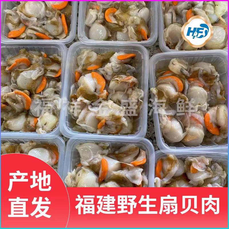 福建野生扇贝肉3斤 5斤
