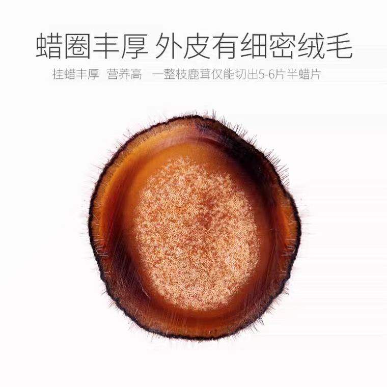【食鹿阁精选】双阳鹿乡 鹿茸半腊片  10克装