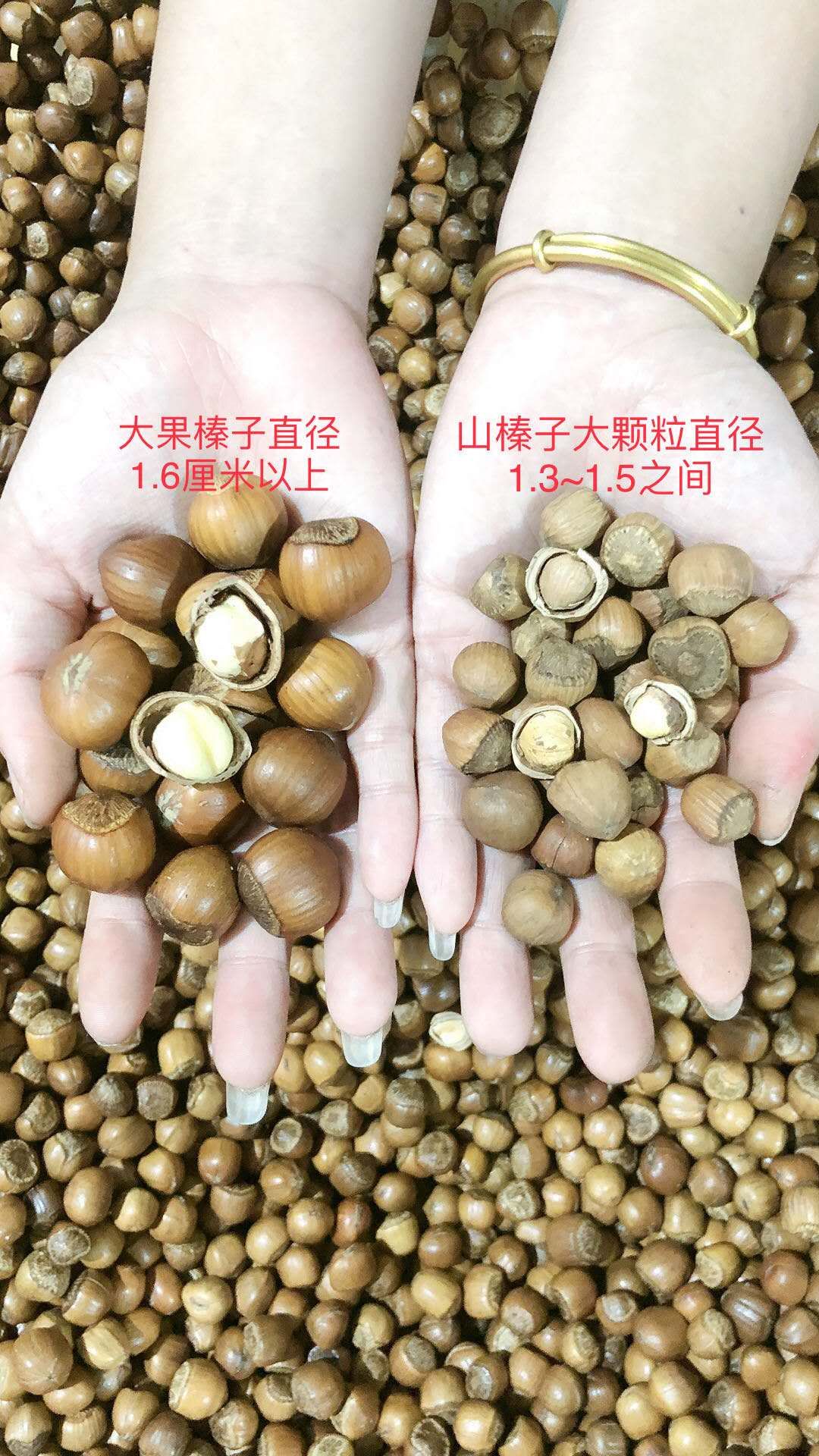 达维大果 东北山榛子（大）拼4斤.6斤