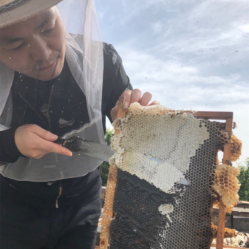 甘肃天水深山野生百花蜜天然0添加500g