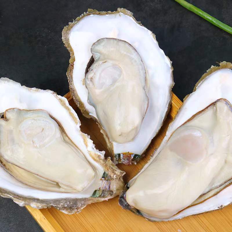 连云港 发货  新鲜 生蚝 5斤 装