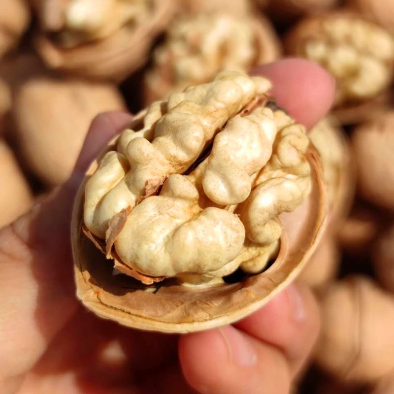 【新疆产地直发】阿克苏185纸皮核桃500g*2/5袋原味手剥核桃薄皮