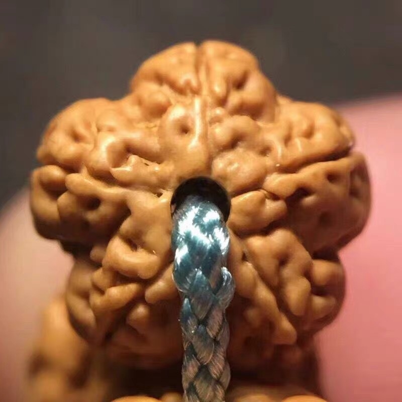 花王树王树祖一代小金刚菩提子手串108梅花桩龙鳞纹盘龙纹男原籽