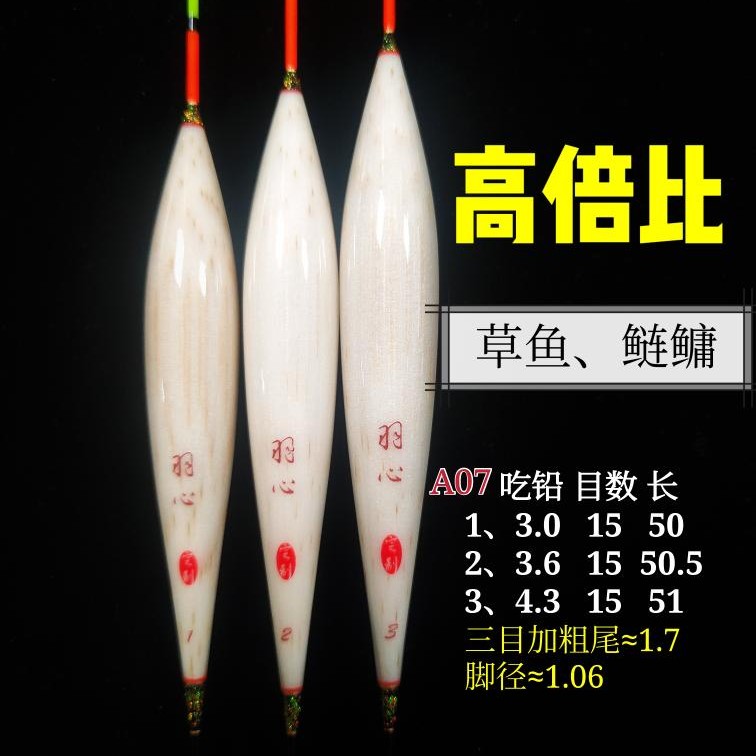 羽心A07草鱼、鲢鳙高倍视频浮漂比去壳芦苇台下