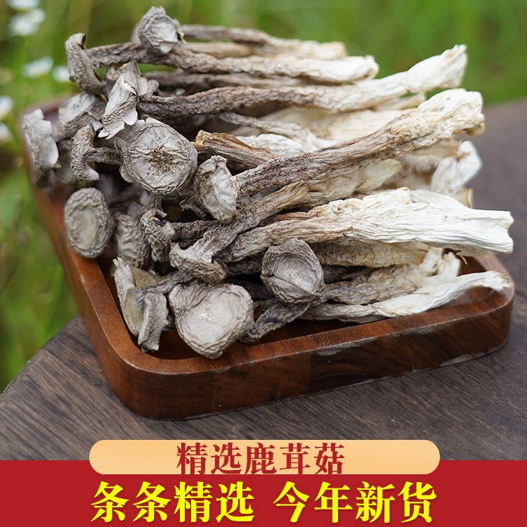 【鹿茸菇】精选脆脆菇 食用高山菌菇干货100g-500g煲汤炒菜鲜嫩脆爽
