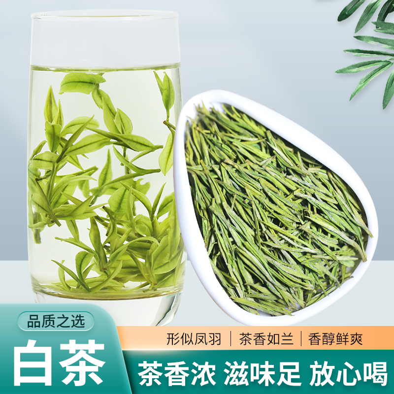 2025年新茶安吉茶白茶正宗原产地高山茶兰花香罐装鲜爽