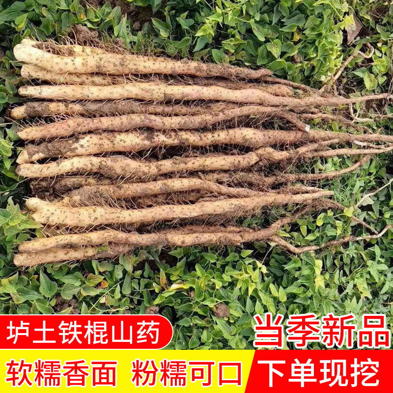 河南焦作温县正宗垆土铁棍山药香甜粉糯营养高3-5斤商品图