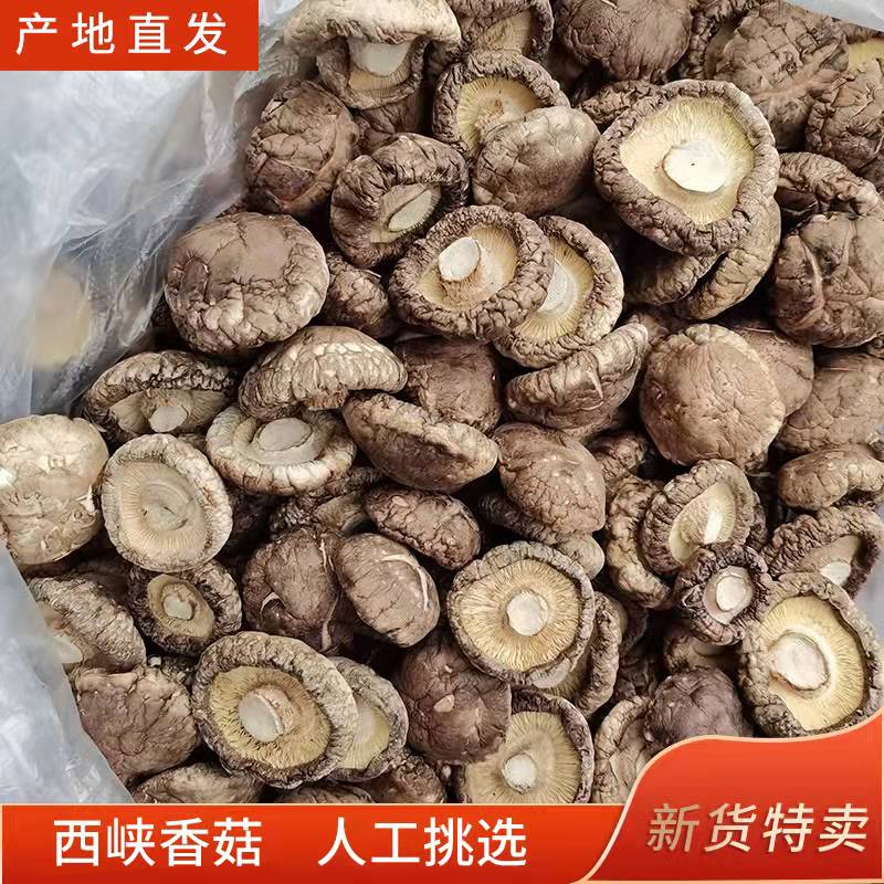 西峡特产干香菇250g/500g包邮