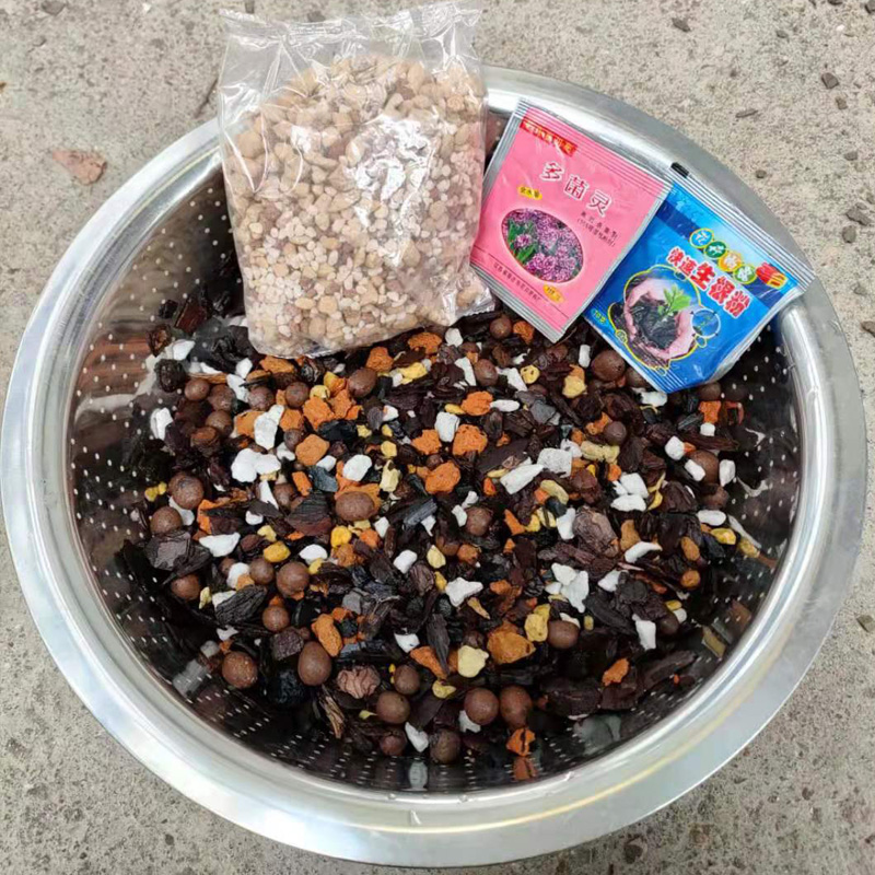 兰花专业种植植料土