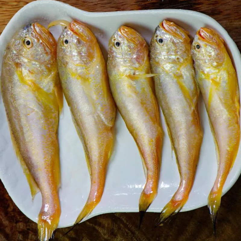 【大号梅童鱼】东海海捕海鲜 梅童鱼 顺丰冷链发货