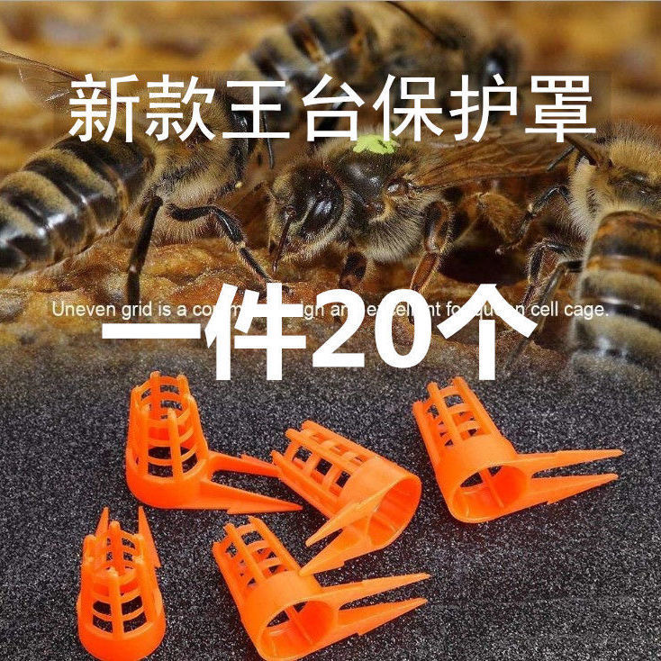 新款王台保护罩 王台防咬保护罩 蜂王保护罩 王笼王台罩蜂具包邮