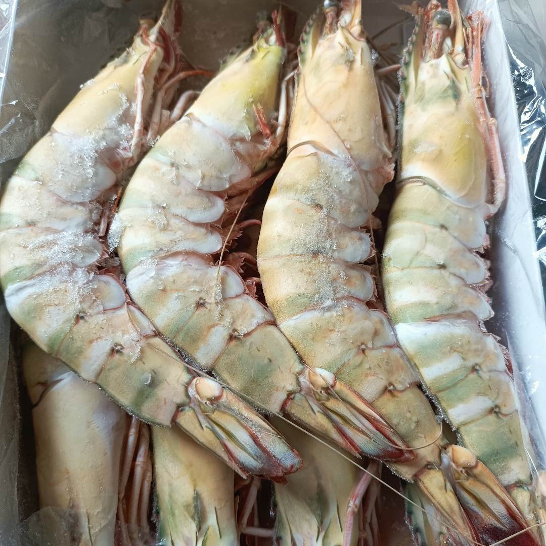 连云港 大个红虎虾 8只装 净重约2斤