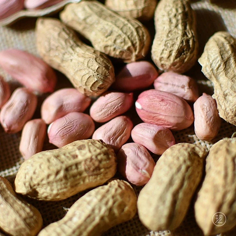 广水本地干花生湖北随州新鲜晒干花生本地花生农家自种3斤5斤包邮