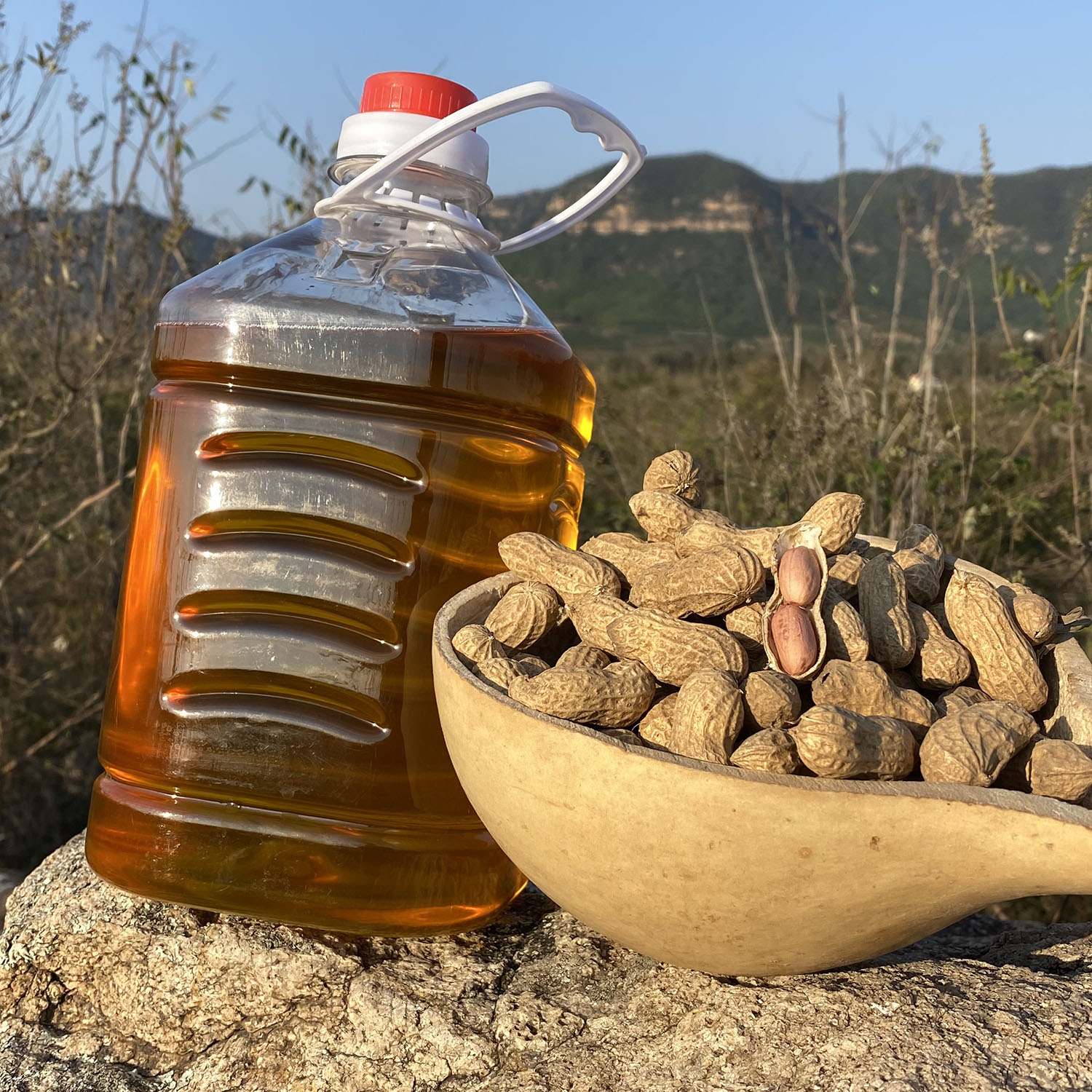 山东沂蒙山带壳花生 10斤 