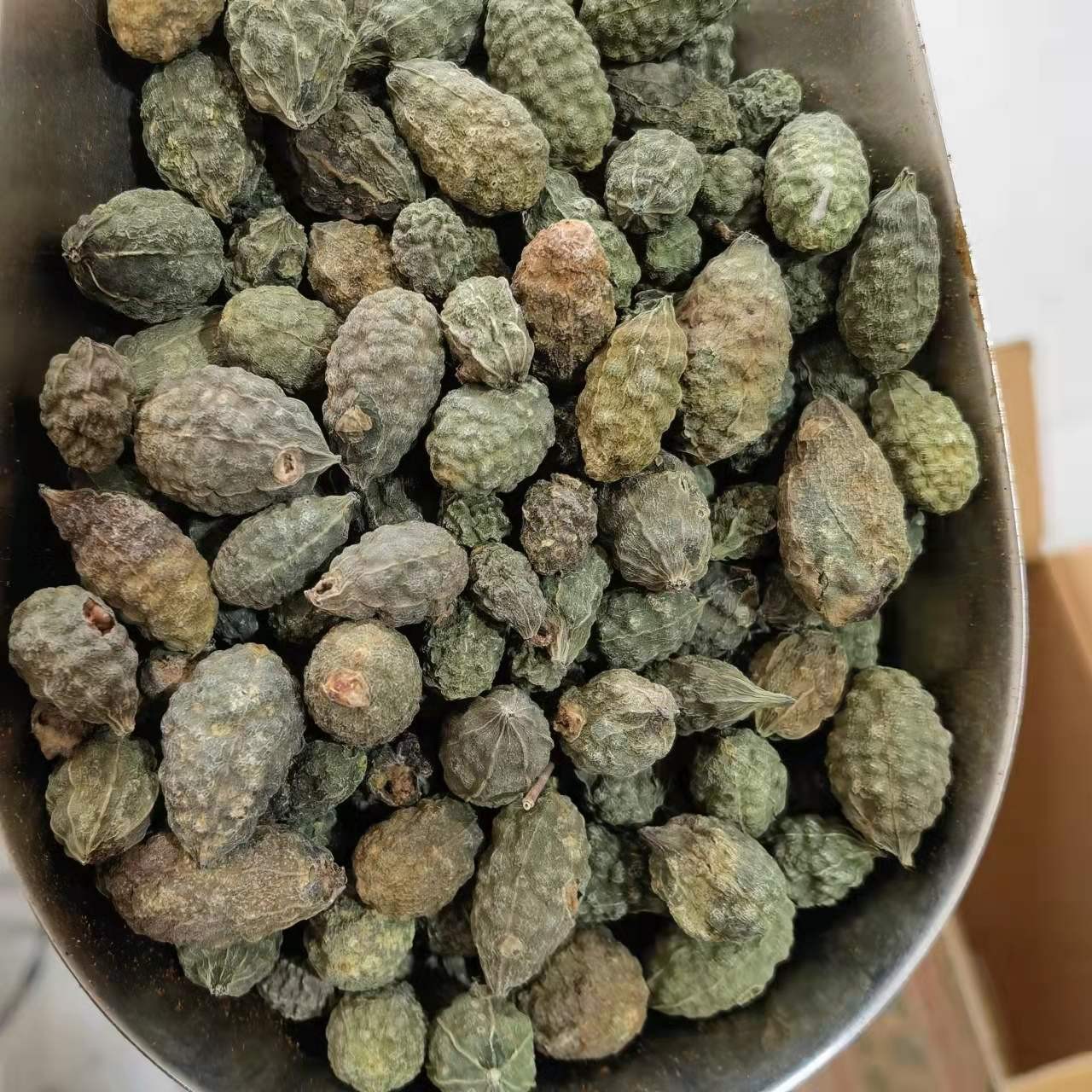 小  西瓜，泡酒外用不能喝