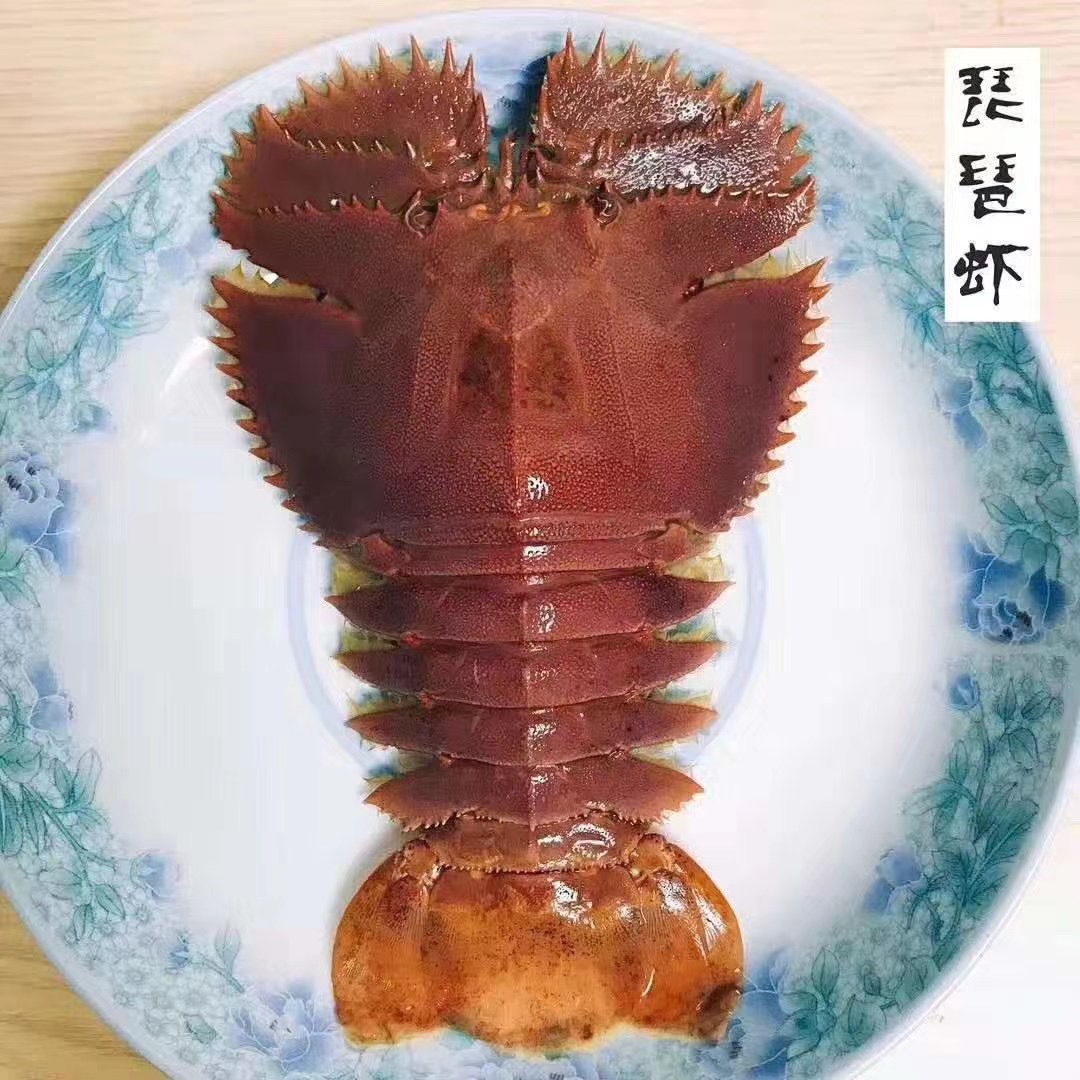 宁波石浦海鲜海捕九齿扇虾鲜活琵琶虾（鲜活发货，保鲜不保活）商品图