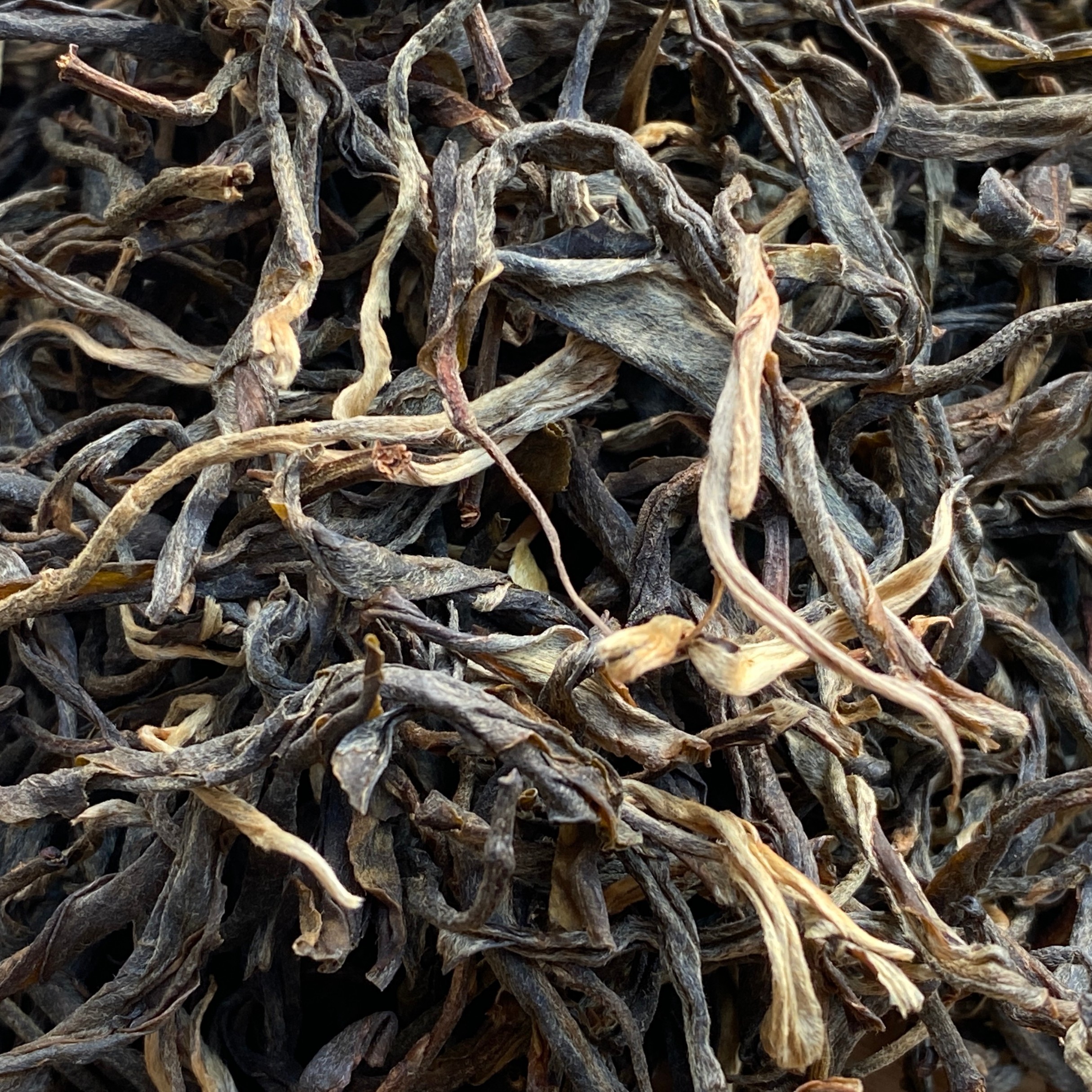 遇访茶行2016年茶王树刮风寨 普洱茶古树头春纯料生茶100g