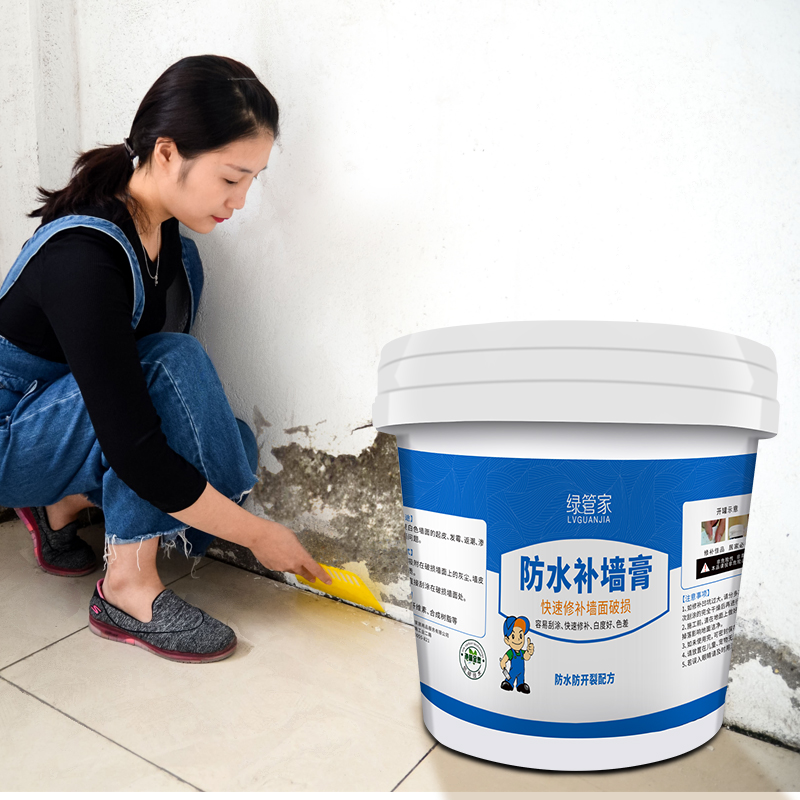 LVGUANJIA/绿管家补墙膏家用墙面修补膏白色二合一污渍密封遮盖力