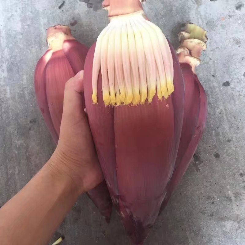 兰本草 福建香蕉花 晒干香蕉花 炒菜煲汤50克