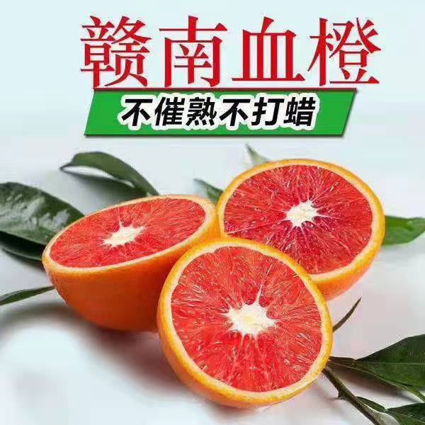 生态花皮红肉脐橙 血橙10斤 正宗赣南脐橙血橙