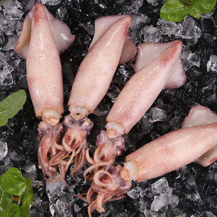 连云港【海兔，笔管鱼】新鲜速冻锁鲜自助套餐全母包天然带籽海鲜